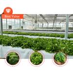 High Intensity Multi-span Arch Plastic Film Greenhouse Hot Dip Galvanized Steel
