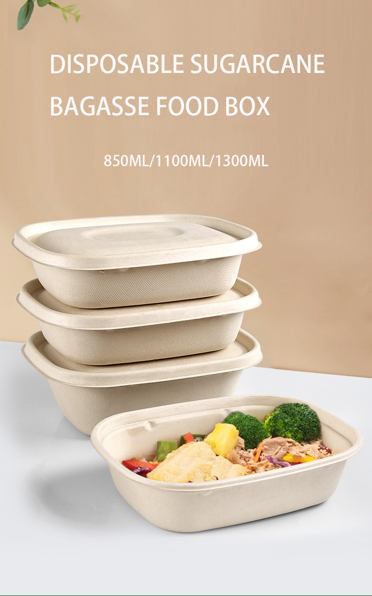 Disposable Party Dinnerware Take Away Salad Box 850ml 1100ml 1300ml Sugarcane Bagasse Pulp Box Packaging