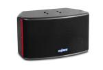 10 inch full range karaoke speaker OK-340