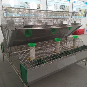 Wholesale Large Scale Farm Rabbit Cage 2400 * 2000 * 1500mm Size For Female Rabbit from china suppliers