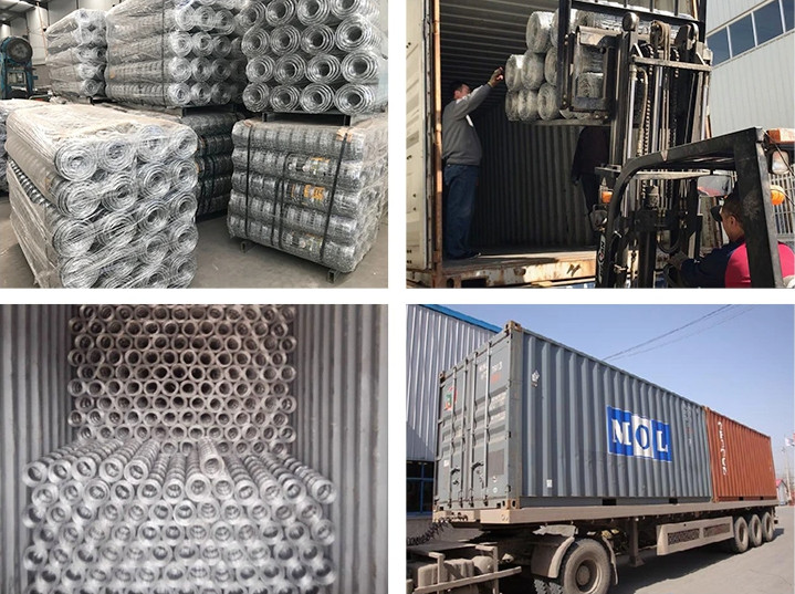 2.0mm Dia Galvanized Fixed Knot Wire Farm Fencing