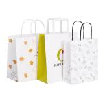 Custom Order Acceptable Luxury Logo Printed Shopping Bag for Beautiful Holiday