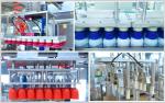 3-7cartons Min Auto Carton Packing Machine ISO9001