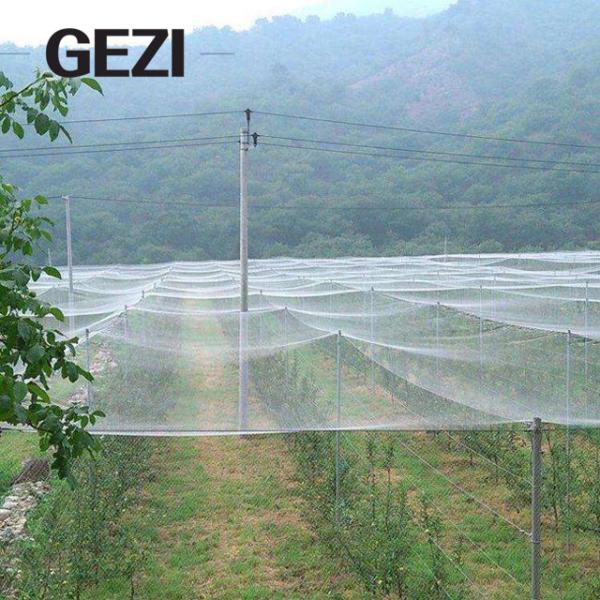 0.3×0.3mm 100% Virgin UV Resistat Agricultural Insect Net Greenhous Mesh for