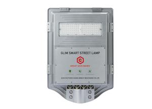 Wholesale 6000k 45w High Power Panel Outdoor LED Solar Street Light from china suppliers