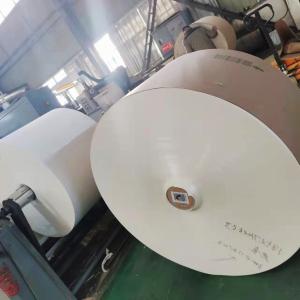 Wholesale High Bulk PE Coated Paper Roll 135gsm Waterproof For Paper Cup from china suppliers