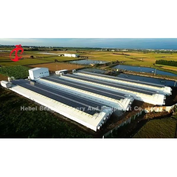 H Shaped H Type Broiler Chicken Cage With Sliding Door 450cm2 Area/Bird Video Installation Included Ada