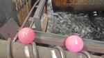 Steel Ball 10mm/20mm/25mm/30mm/35mm Forged Steel Grinding Media Ball Price