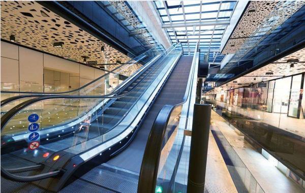 30 / 35 Degree Inclination Electric Escalator Rated Load Capacity 6750 - 9000