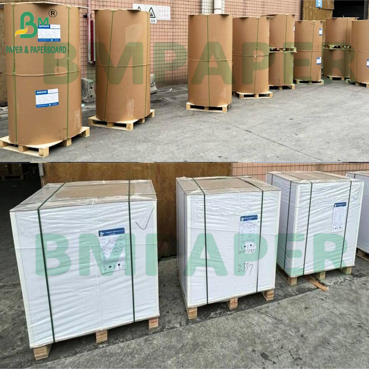 PE Coated Cupstock Paper Suitable for Hot and Cold Food Beverage