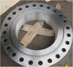 A105 304 Forged Pipe Fittings Rf Weld Neck Carbon Steel Stainless Steel Flange
