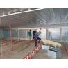 Buy cheap Farms Automatic Poultry Feeder System Pan Feeder Poultry 99 Times from wholesalers