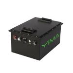 51.2V 50ah 100Ah Club Car Lithium Battery Lithium Golf Buggy Batteries