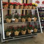 Greenhouse Danish Flower Trolley 500kgs Large Plant Pot On Wheels Dia5"