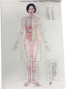 Wholesale Individualized Traditional Chinese Medicine Safe Effective Treatment from china suppliers