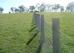 Bull Field Fence Panels Zinc Welded Type Anti Aging Corrosion Resistant