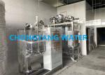 Stainless Steel Purified Water System Pharmaceutical Water Treatment Plant