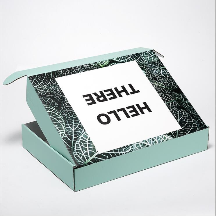 Recyclable Eco Friendly Color Printing Corrugated Box Packaging Shipping Box