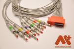 Cardioline Touch ECG-HD Holter Cable,IEC,Banana 4.0