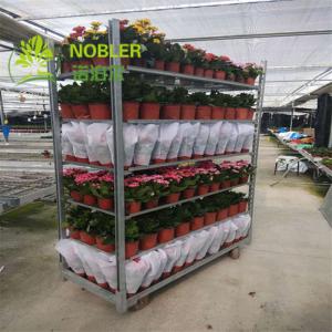 Wholesale CC Danish Flower Trolley from china suppliers