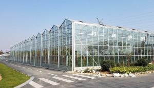 Wholesale 4mm Toughened Glass for Vegetable Plants Growing Greenhouse and Garden Glass House from china suppliers