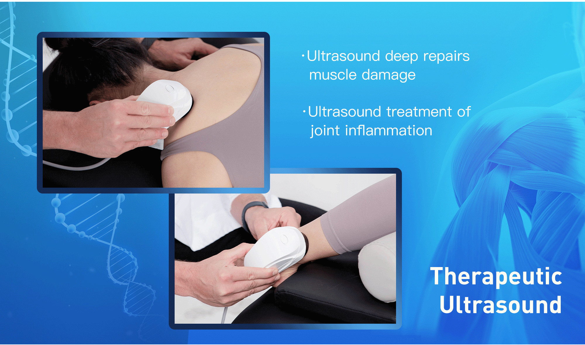 Ultrasound EMS Erectile Dysfunction Device Physiotherapy Shock Wave Equipment Shockwave Physical Therapy Machine Eswt Pain Relief
