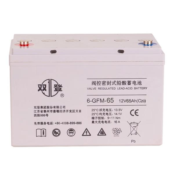 21kg AGM Battery 12V65Ah for Emergency Fire Power Solar Energy Storage Power