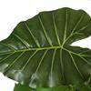 Artificial Monstera Deliciosa Plant 37" Fake Tropical Palm Tree, Perfect Faux