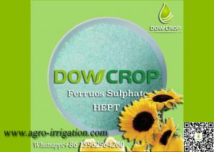 Wholesale DOWCROP HIGH QUALITY 100% WATER SOLUBLE HEPT SULPHATE FERROUS 19.7% GREEN CRYSTAL MICRO NUTRIENTS FERTILIZER from china suppliers
