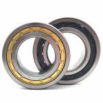 U20.223 High Precision Brass Cage Bearing Cylindrical Roller Bearing