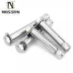 ISO Standard High Strength M8 M20 M36 Stainless Steel SS304 SS316 Wedge Anchor