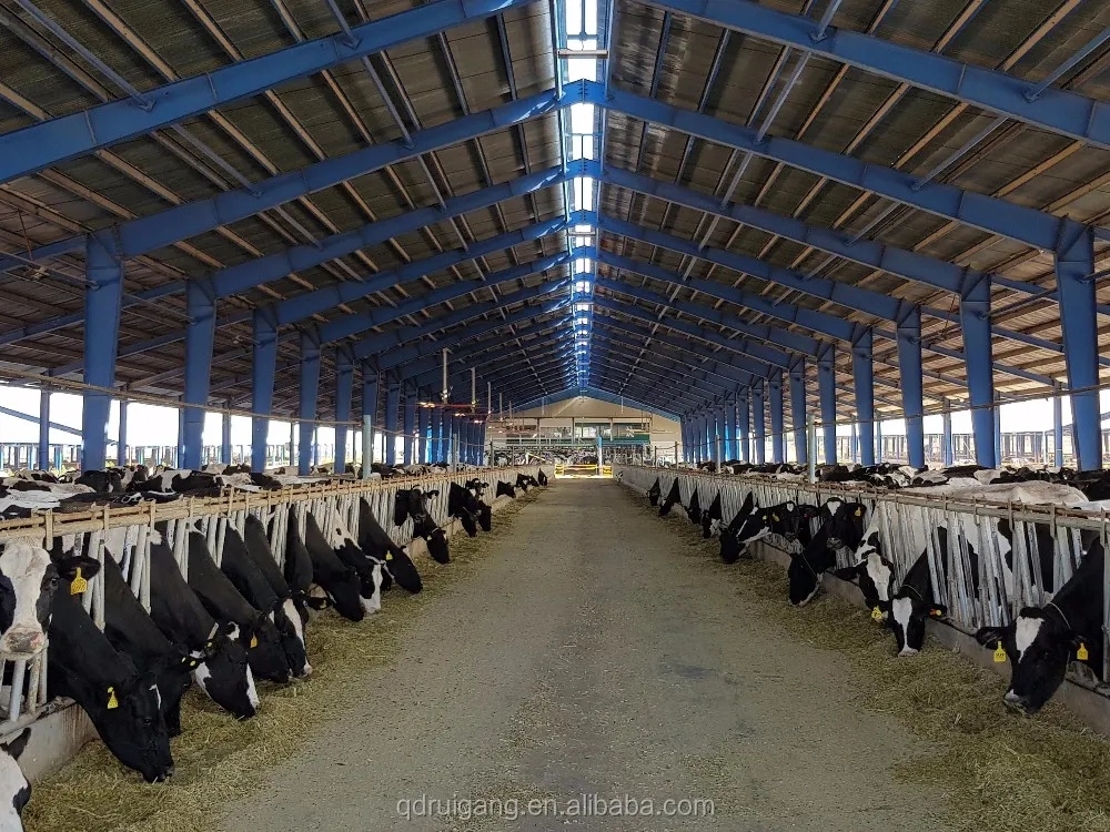 Customized Welding Service Prefab Steel Structure Steel Livestock Shelter
