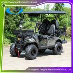2 Seats Street Legal Electric Golf Carts 4 Wheel Drive Mobility Scooter 5Kw