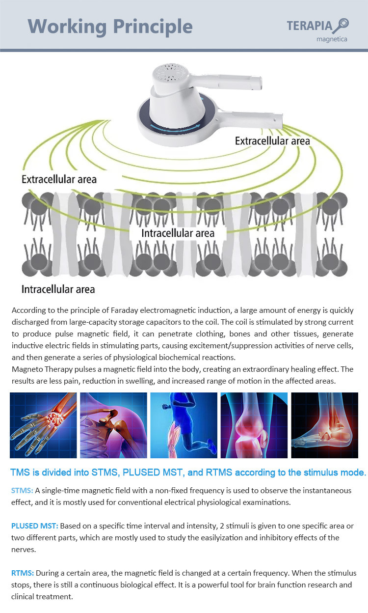 Professional Pulsed Electromagnetic Field Therapy Machine For Pain Relief