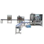 Mineral Water 600BPH Washing Filling Capping Machine Fully Automatic Bottling