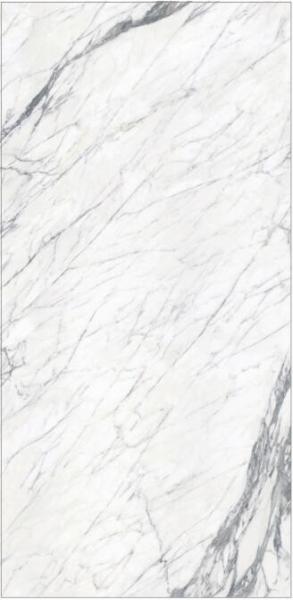 Carrara Big Size Porcelain 1200x2400mm Wall & Floor Tiles Living Room Porcelain