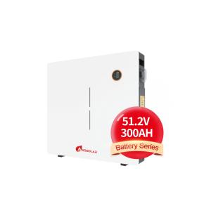 Wholesale Wall-mounted Lithium Battery Lifepo4 Power Storage System 100Ah 200Ah 5Kwh 10Kwh 16Kwh from china suppliers