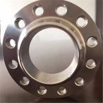 NXF UNS SS44600/X10CRALSI25/H24JS/446 Stainless Steel Weld Neck Flange Forged