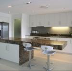 Paint Door Finish Solid Wood Kitchen Cabinets Solid Wood Material Blum / Dtc