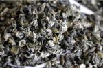 Yunnan green tea biluochun large leaf tea spring tea