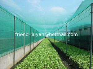 Wholesale UV Treated Agriculture Insect Net from china suppliers