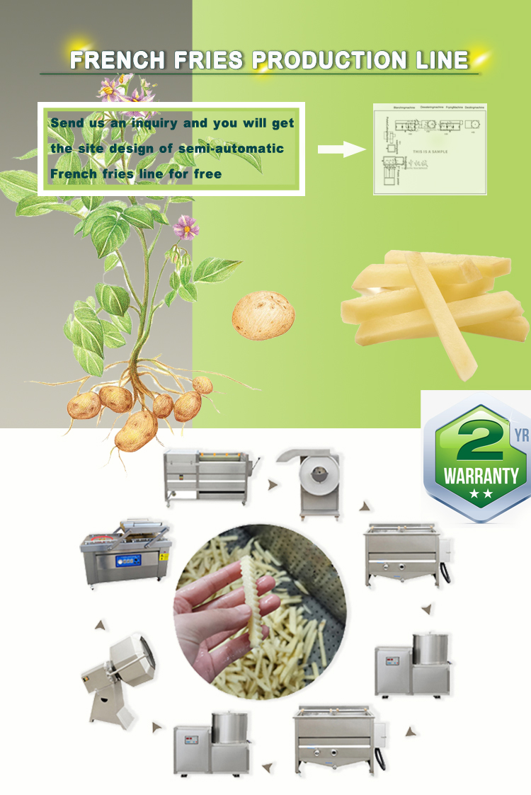 Food Grade 304 Stainless Steel French Fry Machine for Custom Made Fries 100kg Per Hour