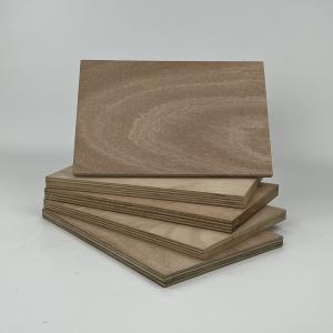 Wholesale Furniture Hardwood Veneer Plywood 2440x1220x18mm Mildewproof from china suppliers