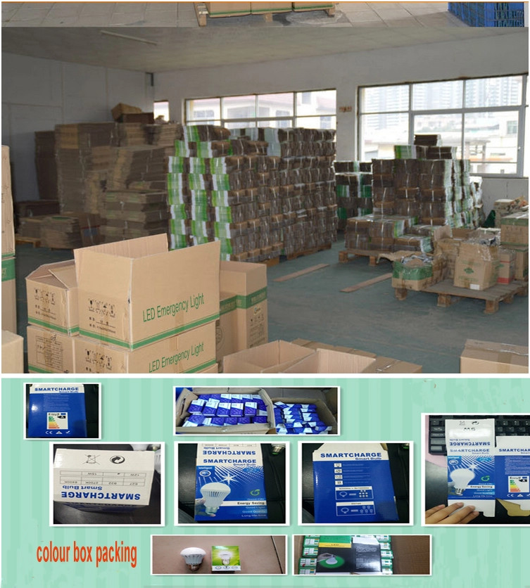 Safety Fluorescent Emergency Light Fixtures Rechargeable For Supermarket