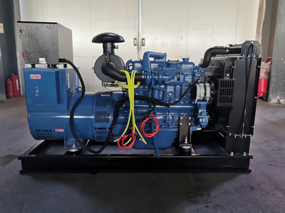 50 HZ China Diesel Engine Generator 1500 RPM YUCHAI Diesel Engine