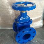 DIN F4 F5 Resilient Seated non-rising Stem Gate Valve pn16