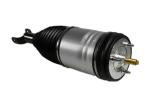 Spring Pneumatic Shock Absorber Suspension System for Dodge Ram 1500 4877146AE