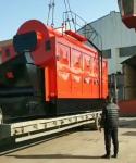 Horizontal Biomass Steam Boiler