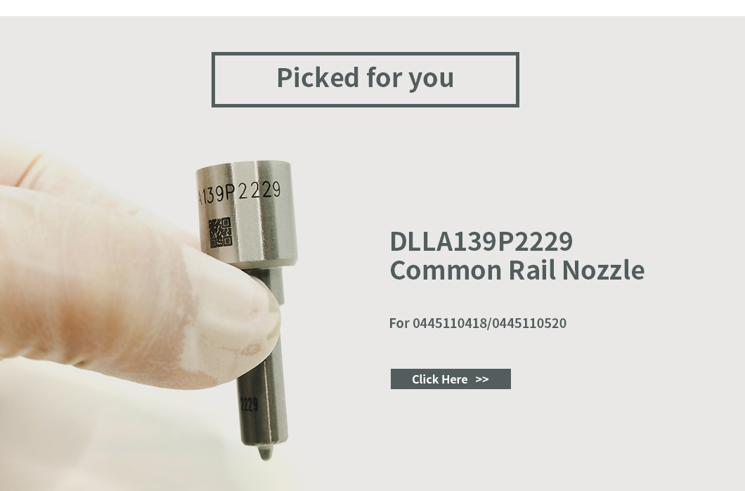 0445110520 Bosch Injector Repair Kit