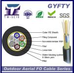 GYFTY 24cores FRP Loose Tube Outdoor Ribbon Non-armored Fiber Optic Network